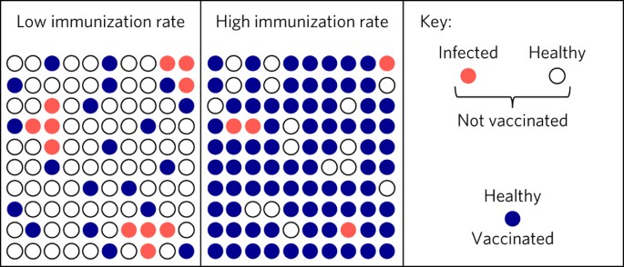 Herd Immunity Explained